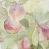 Omenien aikaan / In Apple Time, 2006, 30 x 30 cm 